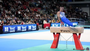 gpg sfe02666 copia simone ferraro ph